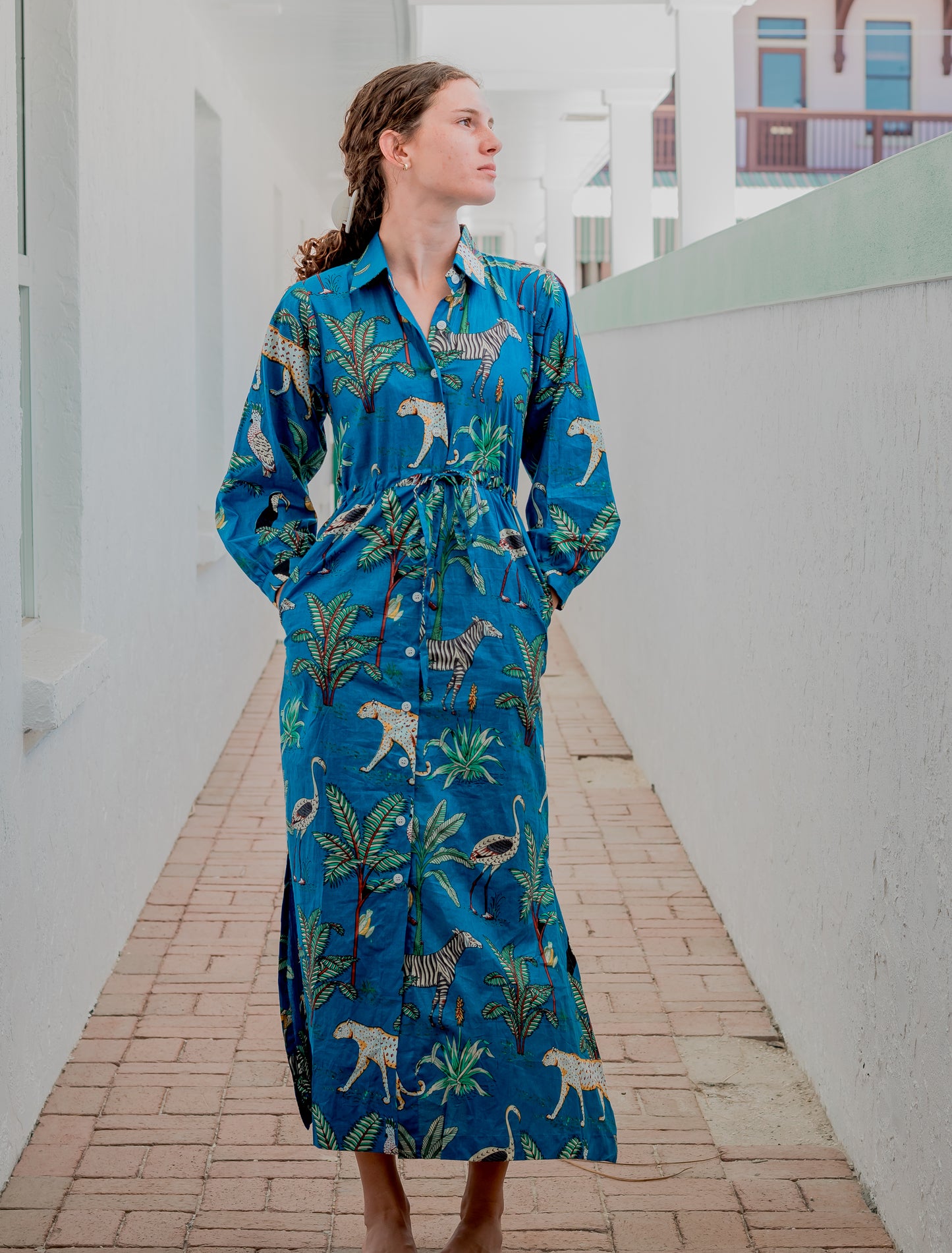 Bianca Collared Dress